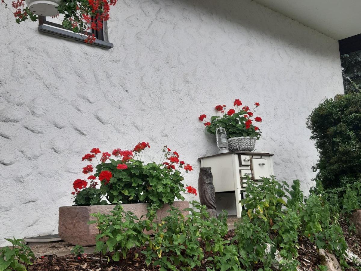 Ferienapartment Karle Nordrach Exterior foto